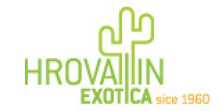 Hrovatin exotica