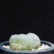 Lophophora williamsii (3,5)