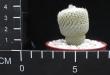 Epithelantha ruffispina (6,5)